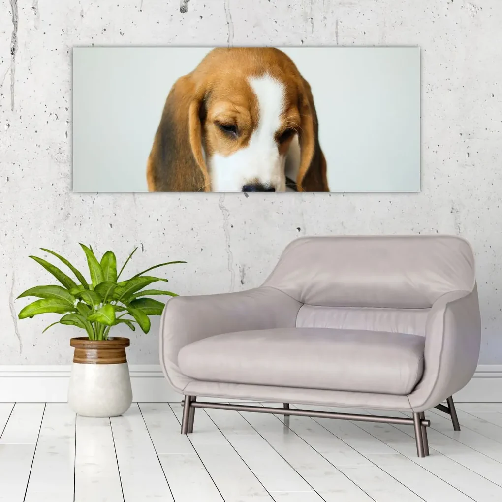 Tablou cu bigl (120x50 cm), în 40 de alte dimensiuni noi