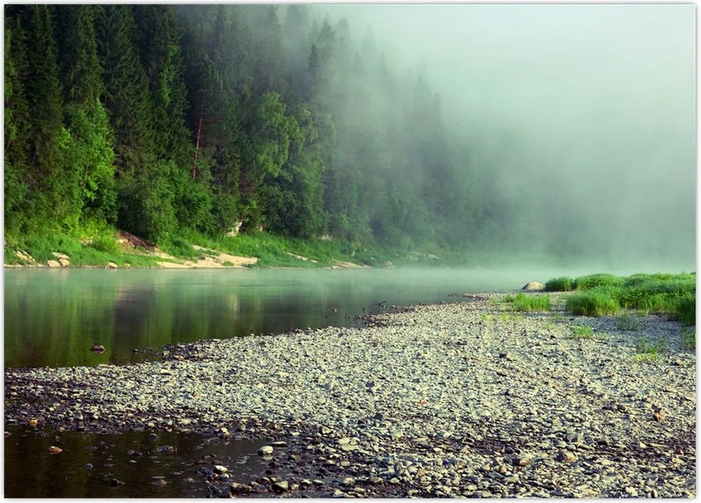 Tablou - Râu lângă pădure (70x50 cm)
