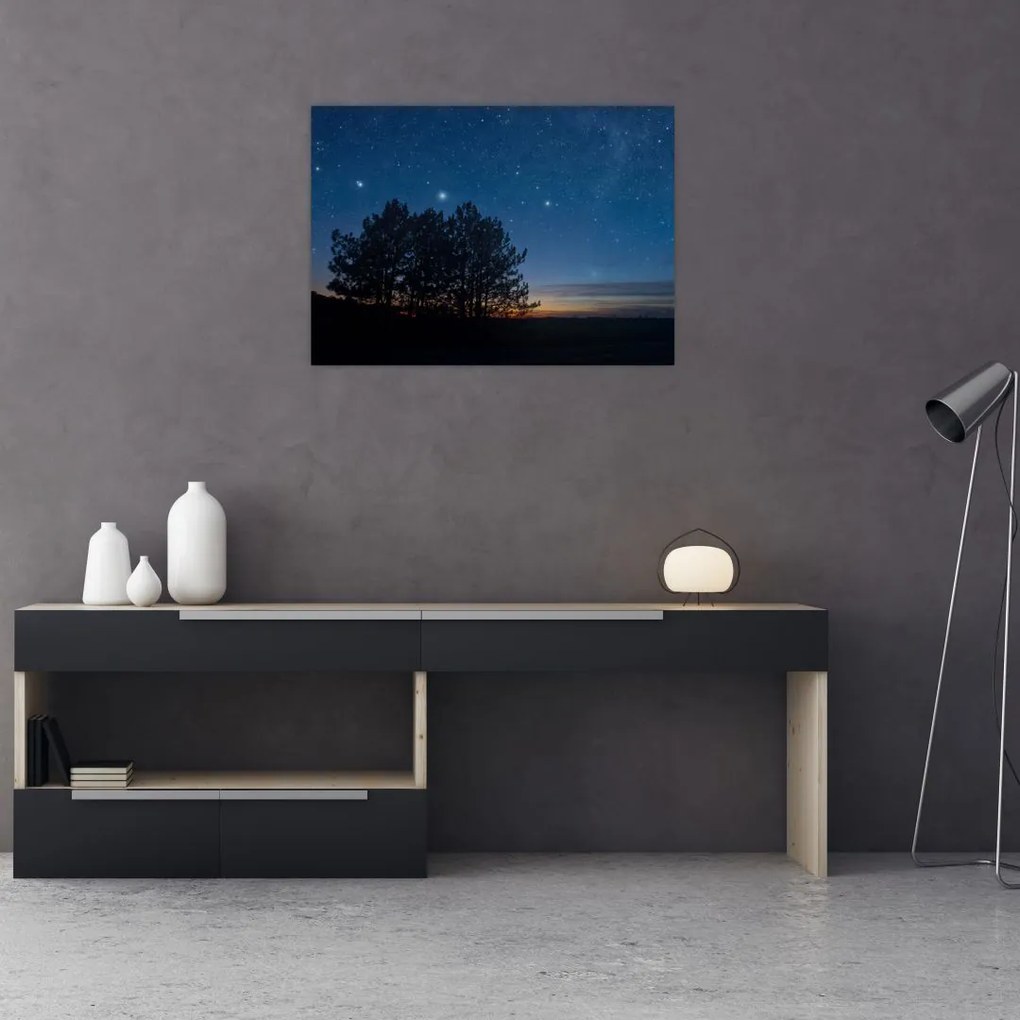 Tablou pe sticlă cu copaci noapte (70x50 cm)