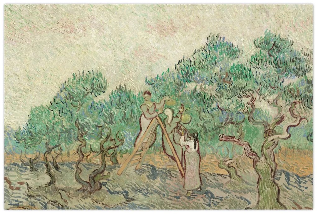 Tablou - Vincent van Gogh, The Olive Orchard, reproducere (90x60 cm)