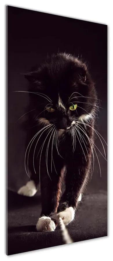 Imagine de sticlă Pisica neagra