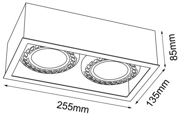 Brosline 1274 - Spot CAGE 2xGU10/18W/230V alb
