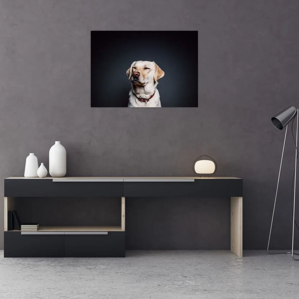 Tablou cu labrador (70x50 cm)