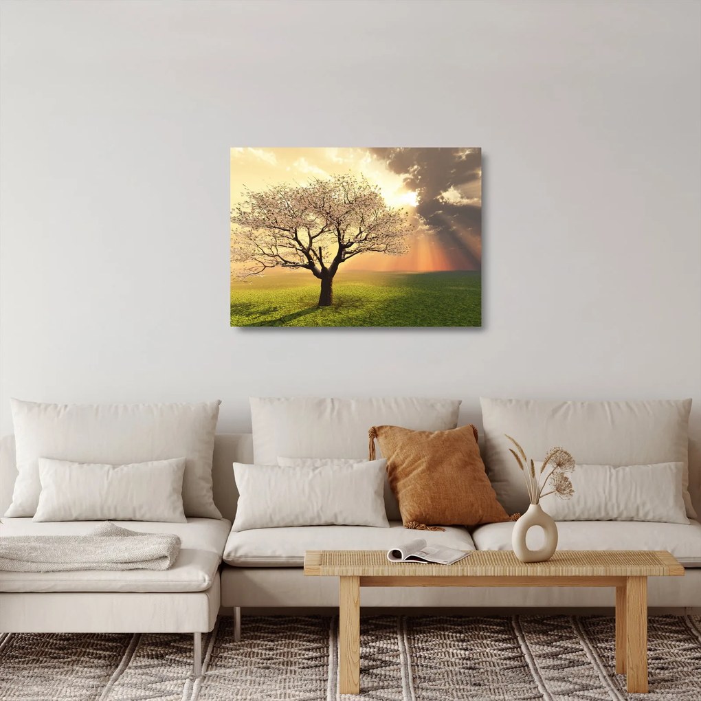 Tablou pe sticlă cu copac pe luncă (70x50 cm)