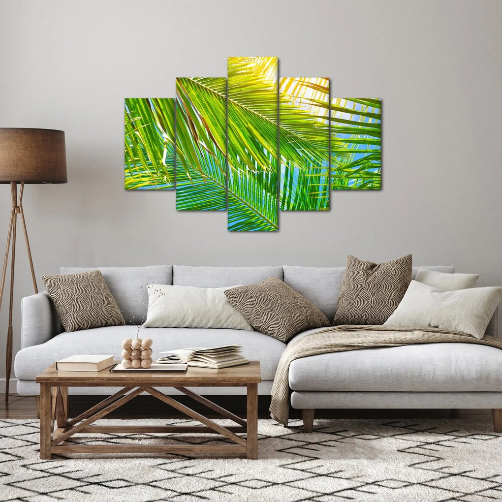 Tablou - Frunze de palmier (150x105 cm)