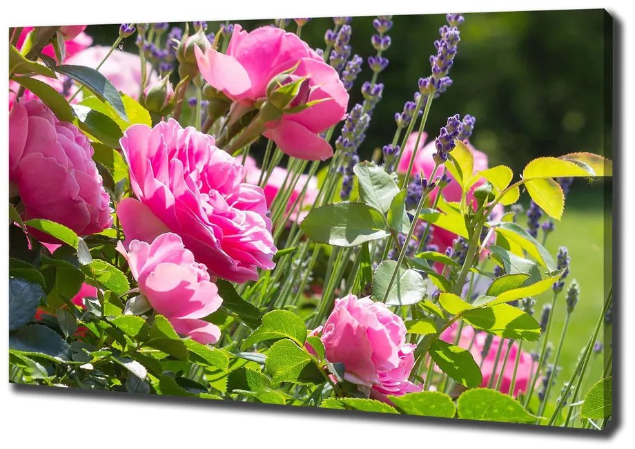 Print pe canvas Trandafir salbatic