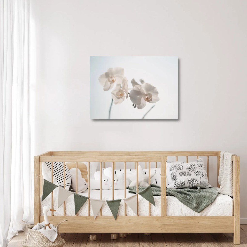 Tablou pe sticlă cu orhidee albă (70x50 cm)