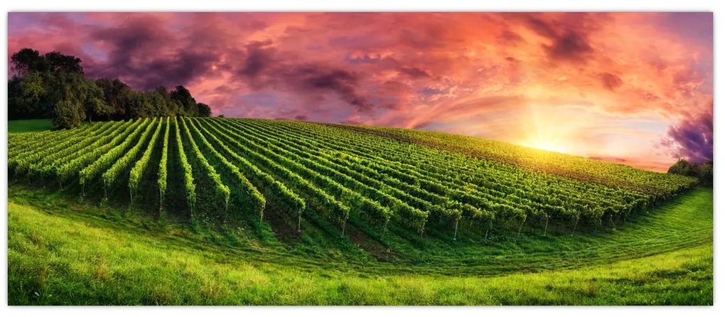 Tablou cu vie cu cerul color (120x50 cm)