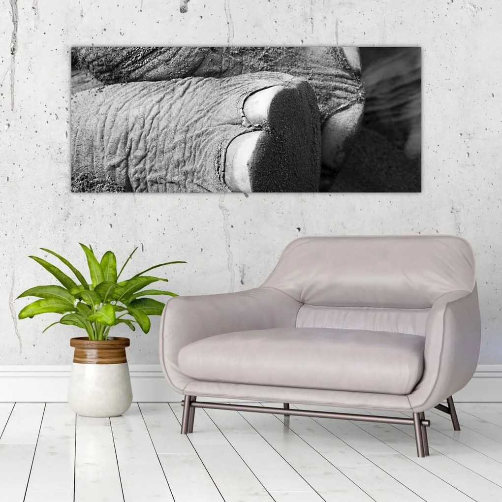 Tablou - Picior de elefant (120x50 cm)