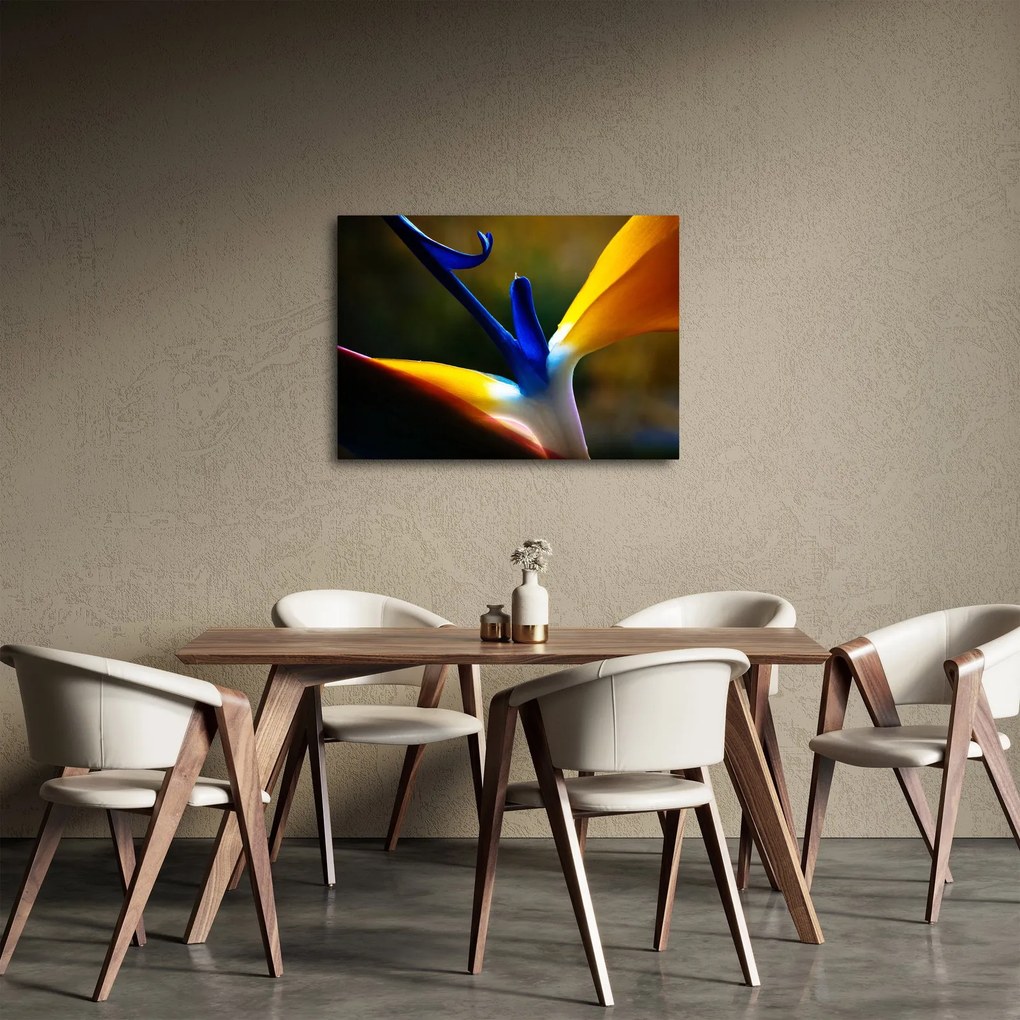 Tablou - Floare exotică (70x50 cm)