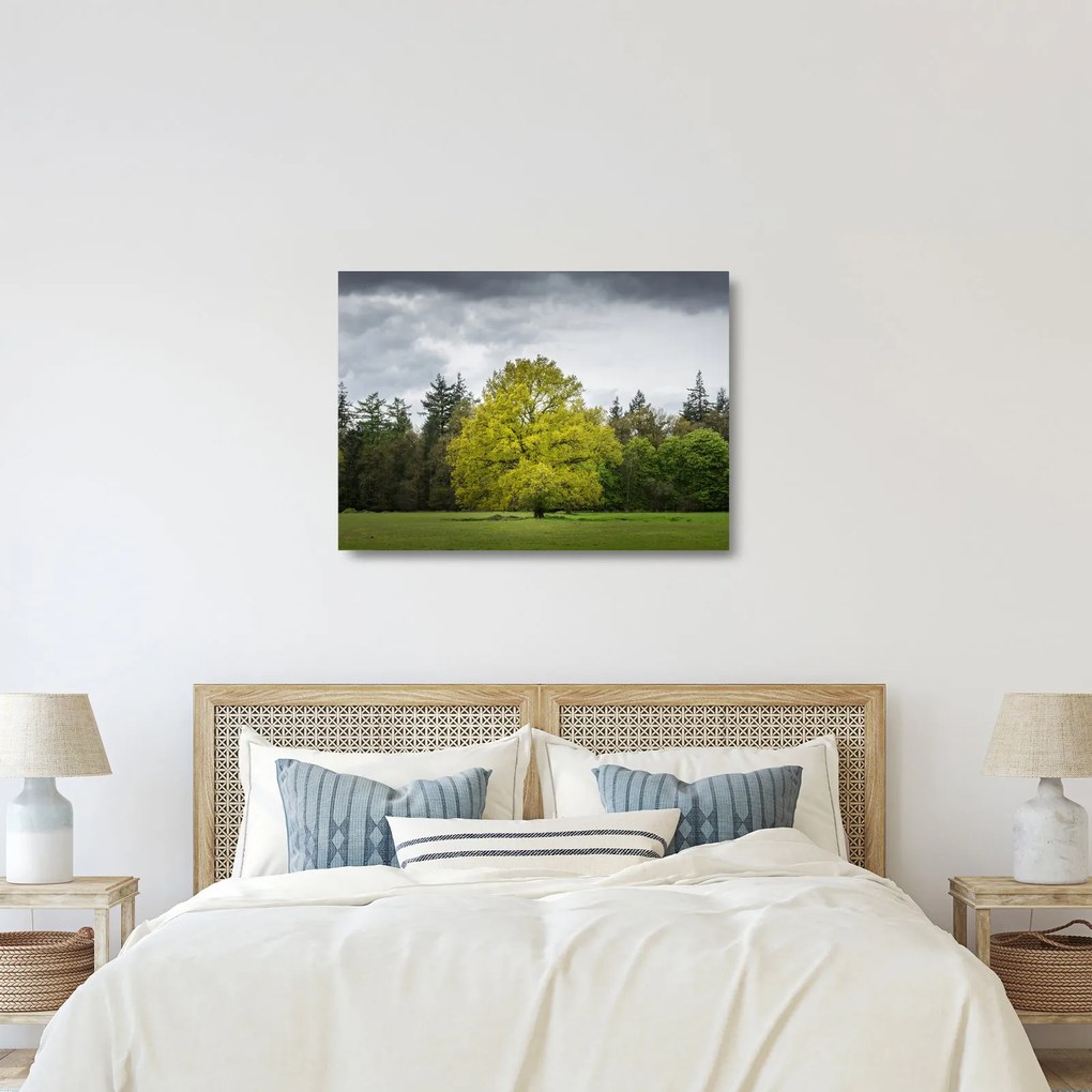 Tablou pe sticlă - Copac verde în câmp (70x50 cm)