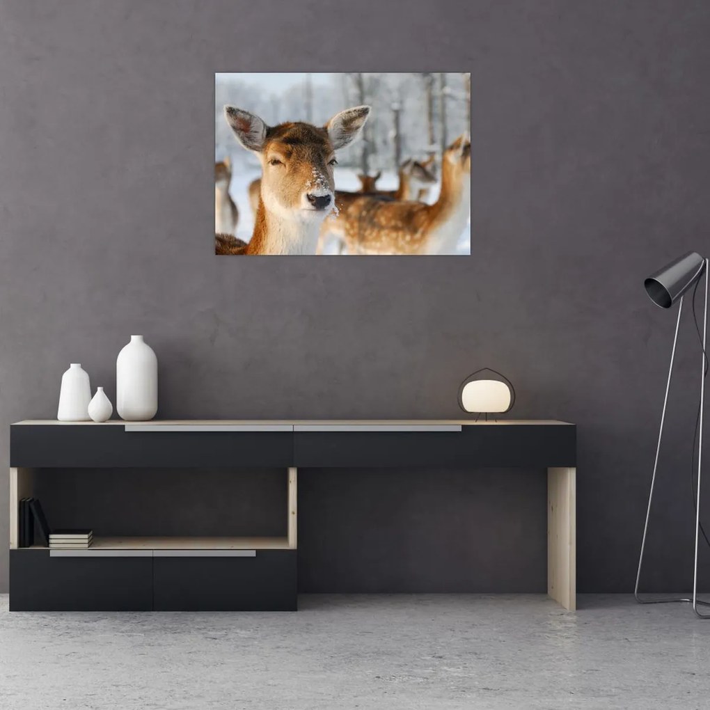 Tablou - Cerbi (70x50 cm)