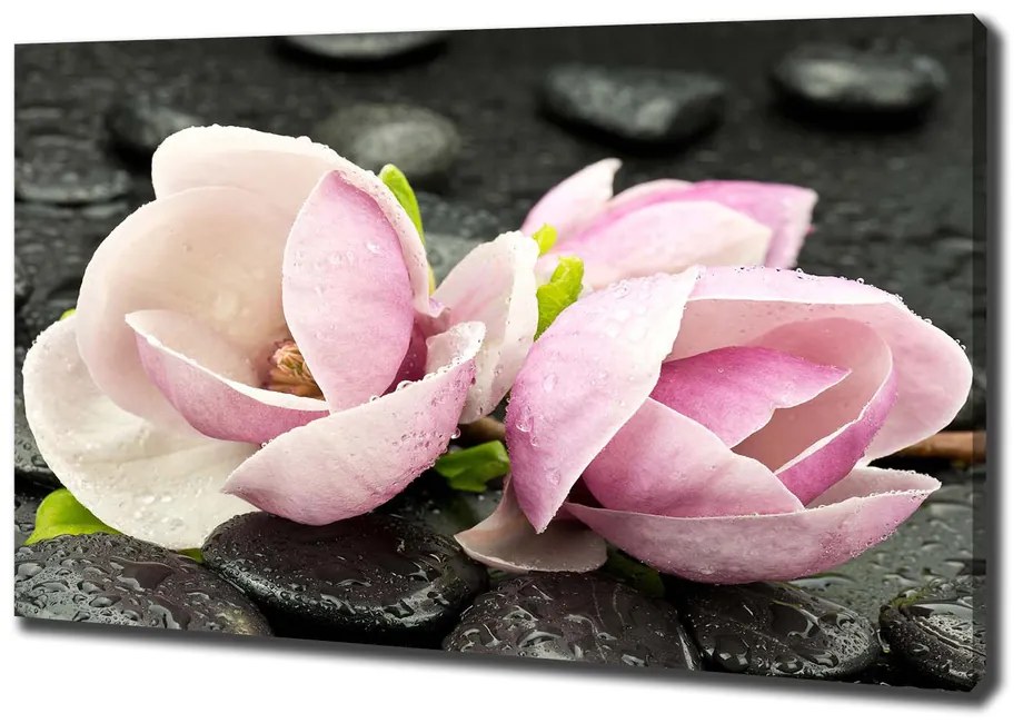 Print pe pânză Magnolia zen piatra
