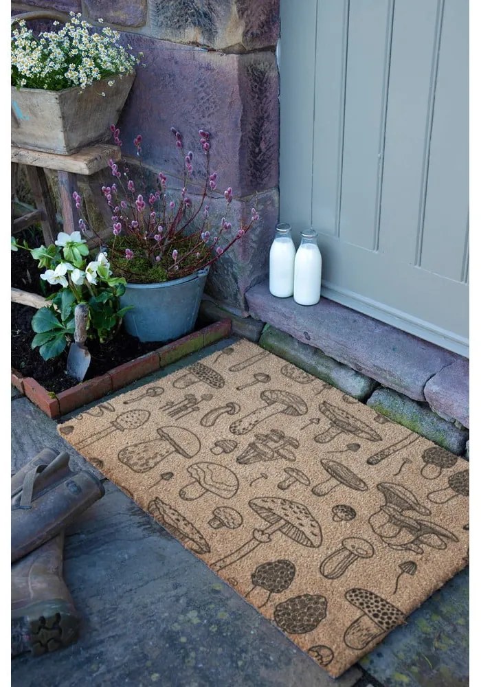 Covoraș de intrare din fibre de nucă de cocos 60x90 cm Mushrooms – Artsy Doormats