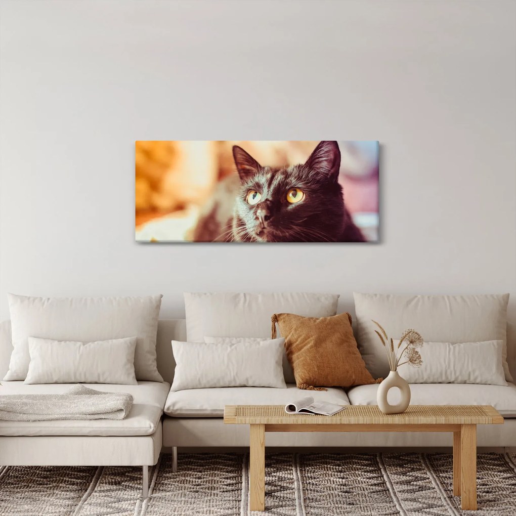Tablou pisica neagră (120x50 cm)