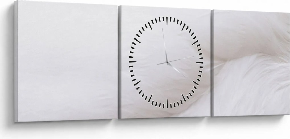 Tablou - Detalii pene (cu ceas) (90x30 cm)