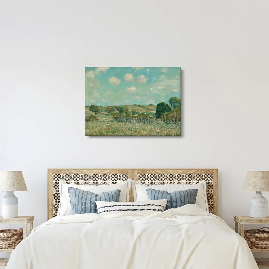 Tablou - Alfred Sisley, Meadow, reproducere (70x50 cm)