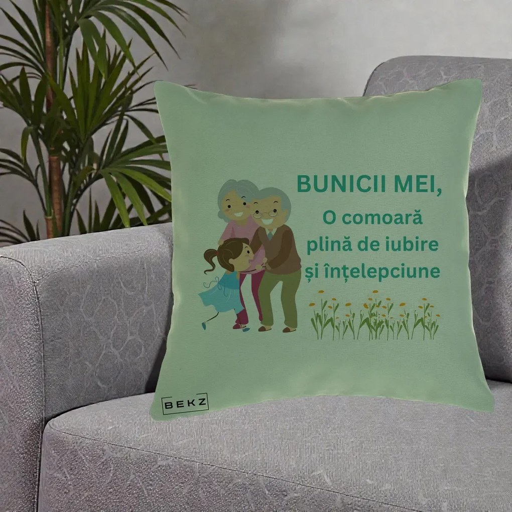 Cadou pentru Bunici - Perna Personalizata Bunicii Mei Comoara Iubire Intelepciune Nepoata, 40x40 cm, Verde, Husa Detasabila, Perna Inclusa, BEKZ®