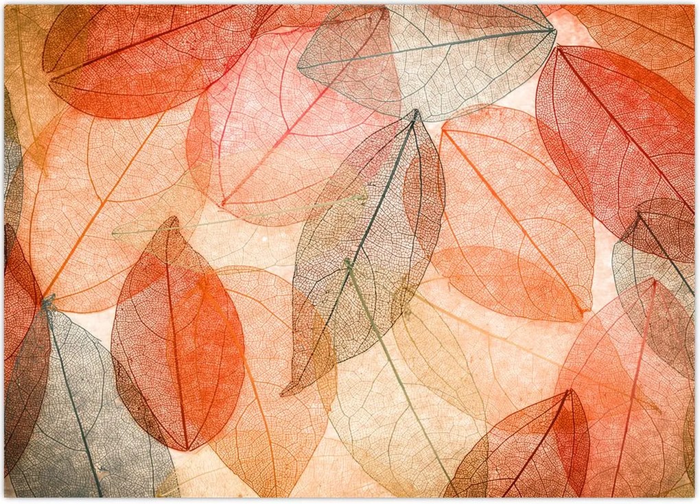 Tablou cu frunzele de toamnă pictate (70x50 cm)
