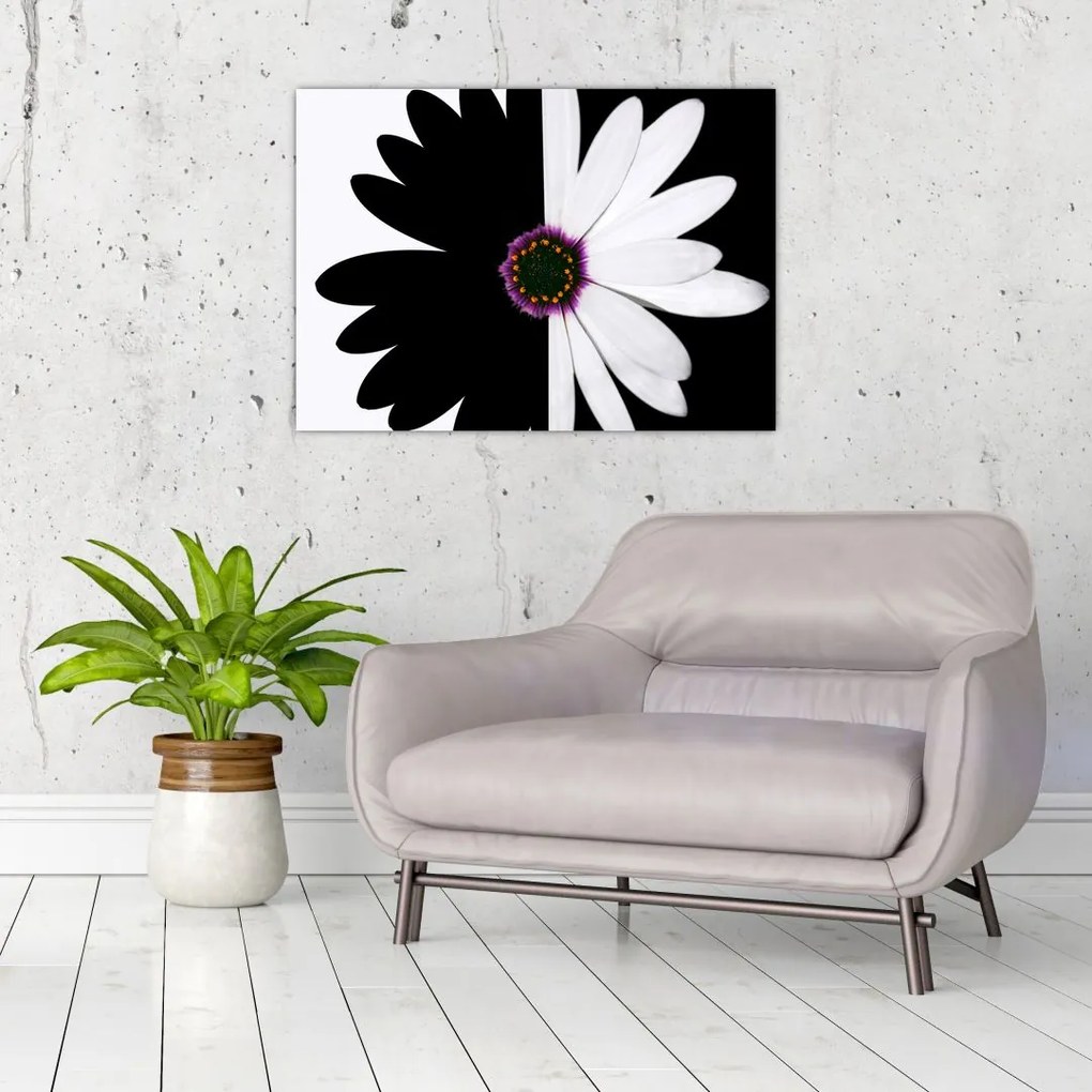 Tablou pe sticlă - Floare, alb- negru (70x50 cm)