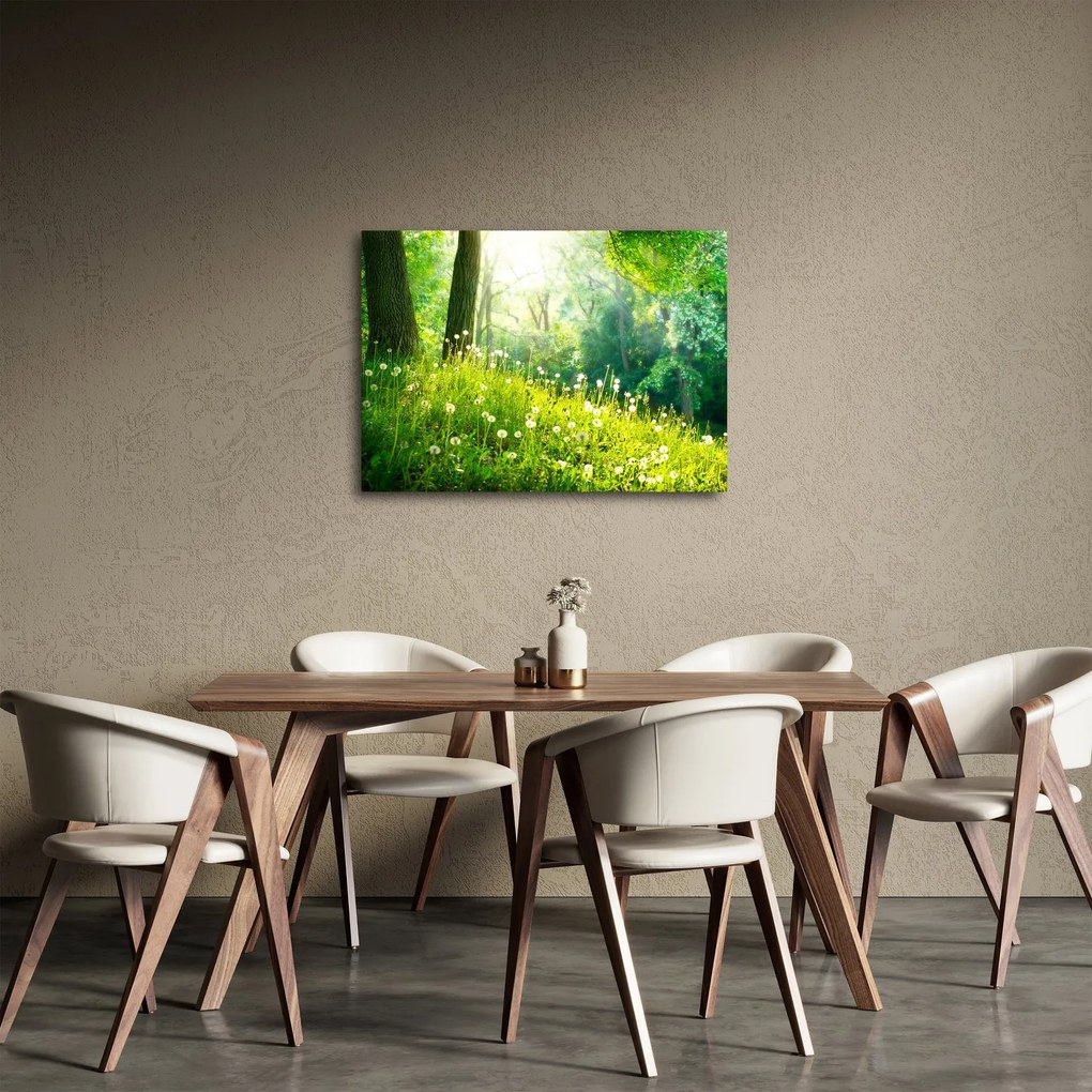Tablou - Pajiște magică plină de păpădii (70x50 cm)