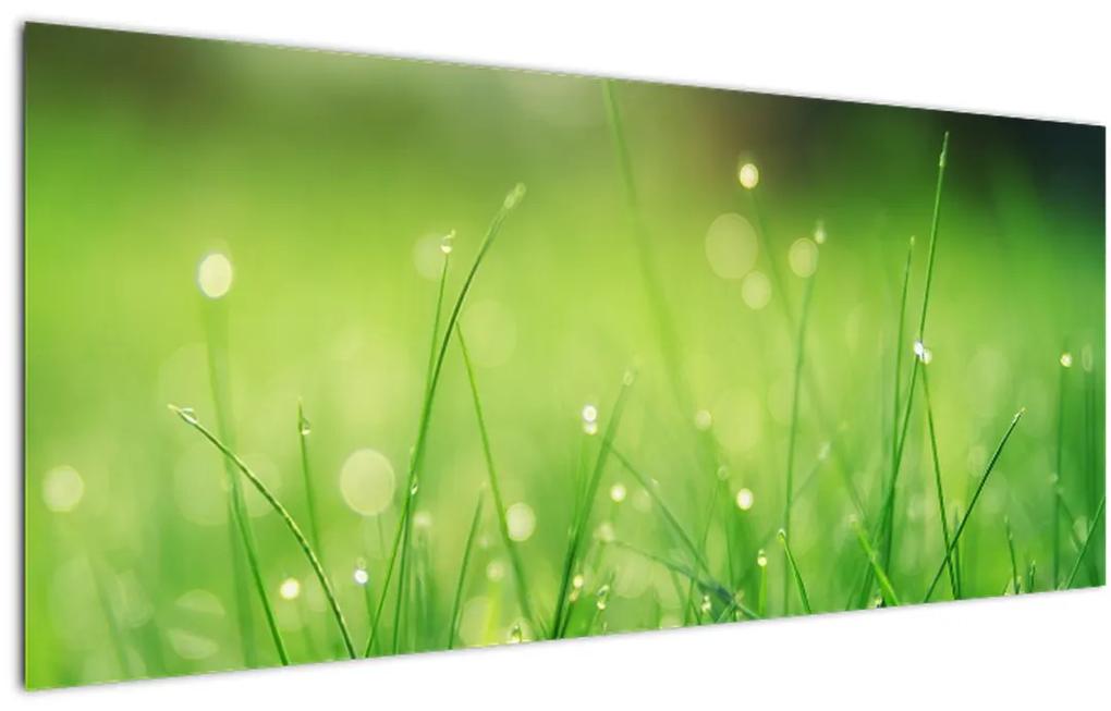 Tablou - roua pe iarbă (120x50 cm), în 40 de alte dimensiuni noi