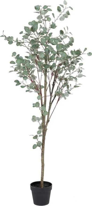 Eucalipt artificial (înălțime 180 cm) Eucalyptus – Ixia