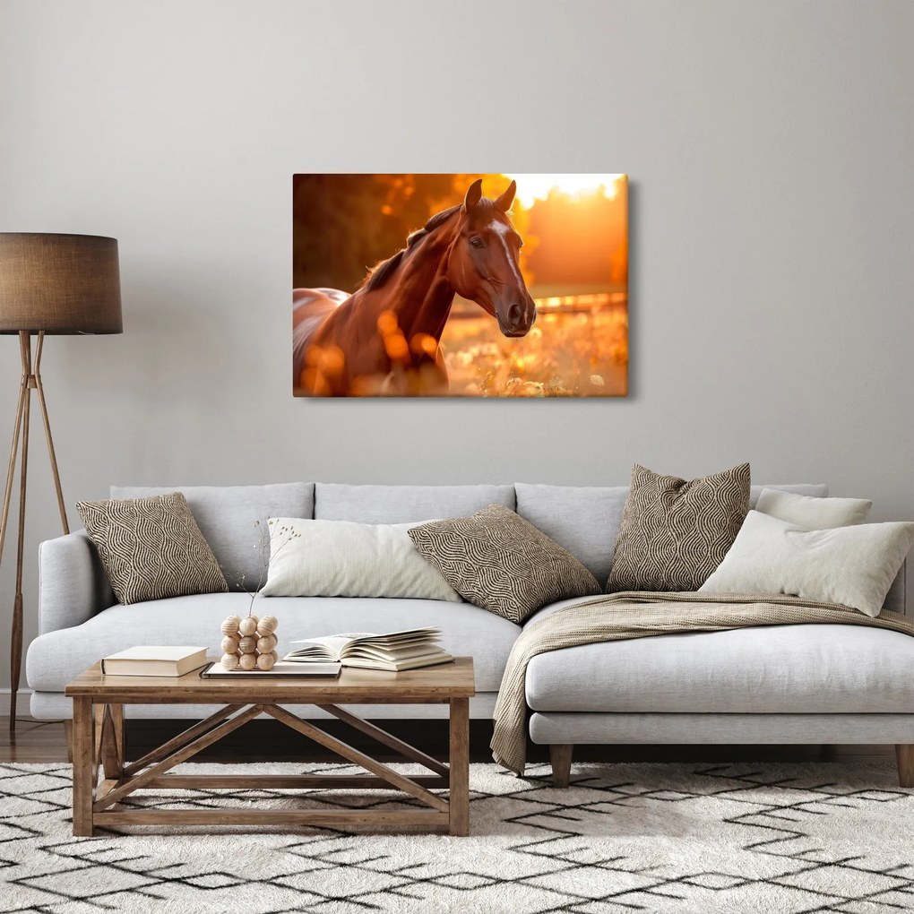 Tablou - Cal în apus de soare (90x60 cm)