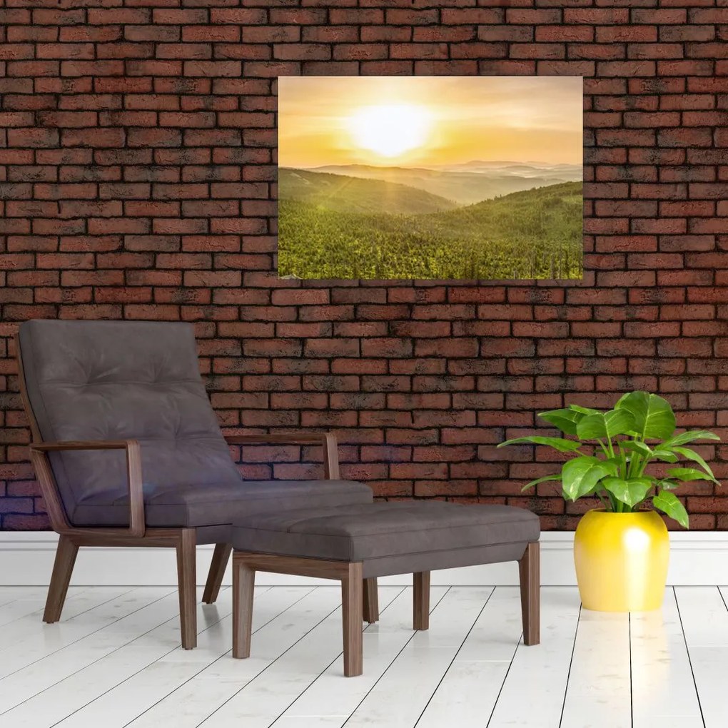 Tablou panoramatic (90x60 cm)