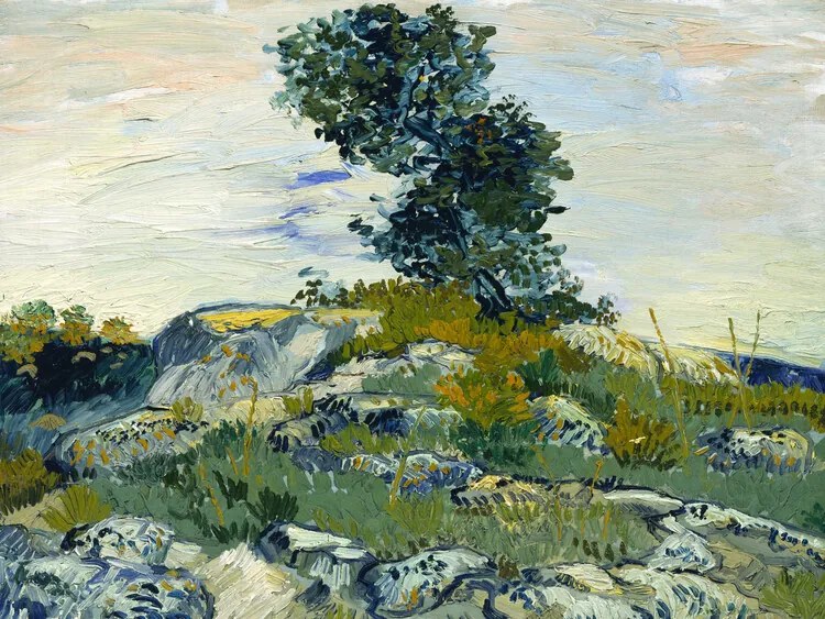 Reproducere The Rocks & The Oak, Vincent van Gogh