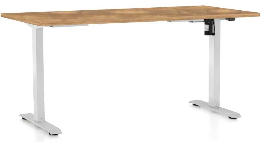 Masă înălțime reglabilă OfficeTech A, 160 x 80 cm, picioare albe, stejar auriu