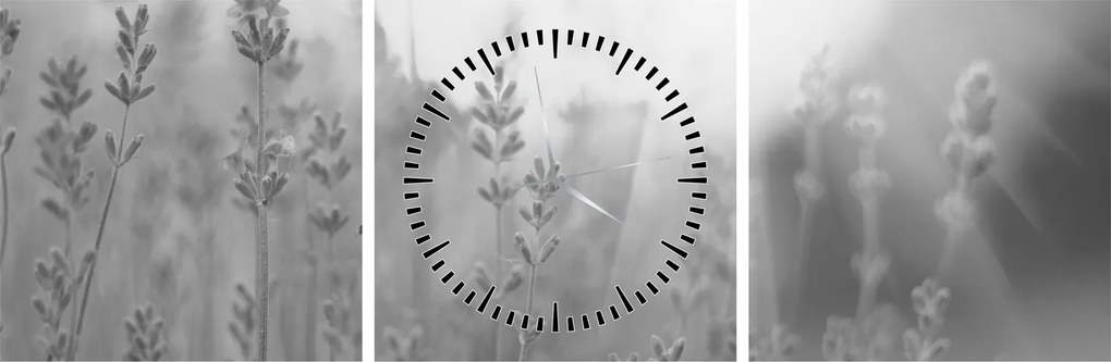 Tablou - Lavanda (cu ceas) (90x30 cm)