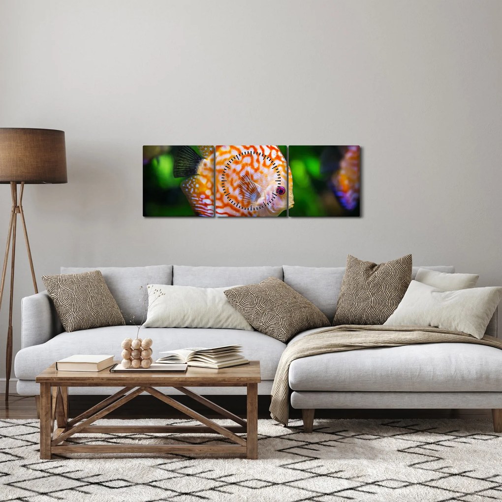 Tablou cu pește (cu ceas) (90x30 cm)