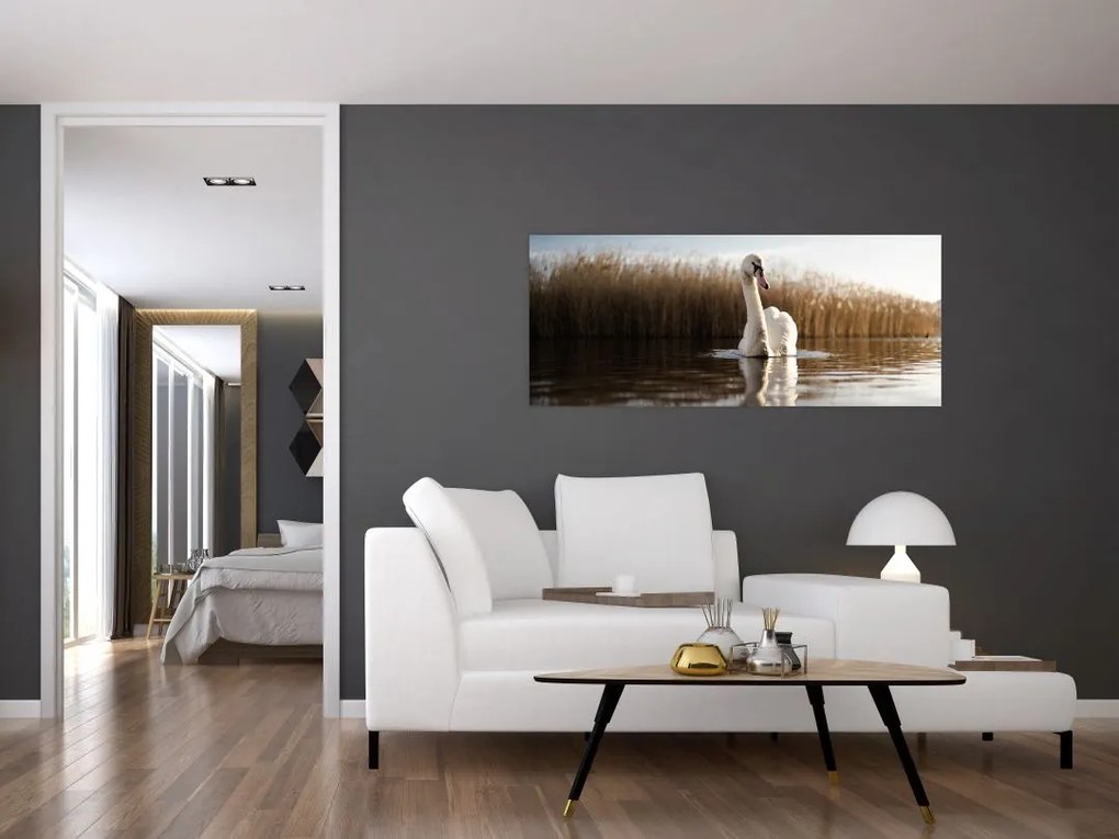 Tablou cu lebăda (120x50 cm)