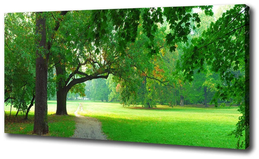 Print pe canvas Park din toamna