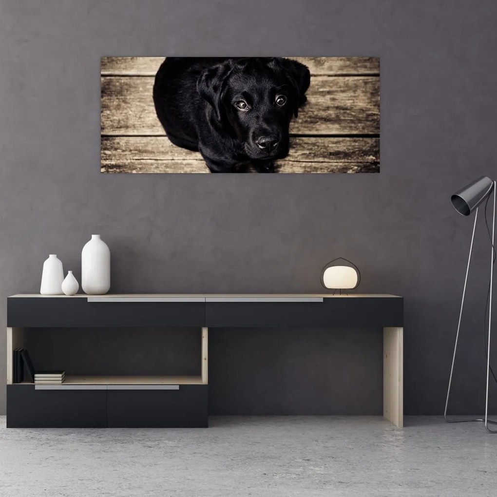 Tablou cu cățeluș negru (120x50 cm)