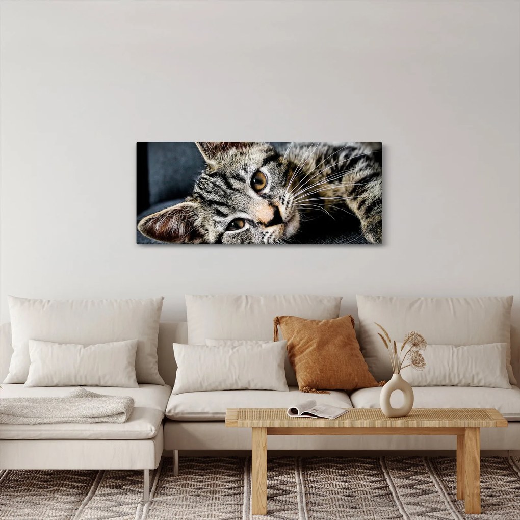 Tablou - Pisoi (120x50 cm)