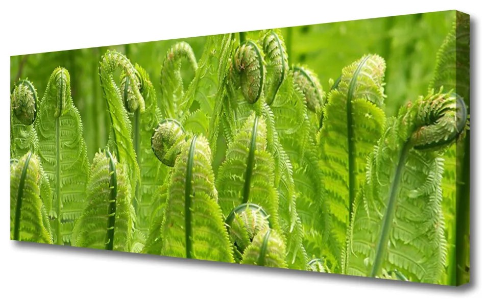 Tablou pe panza canvas Plante Floral Verde