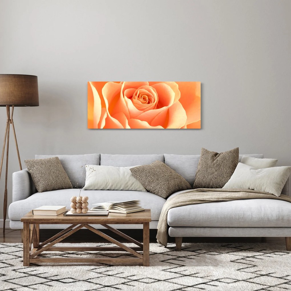 Tablou - Imaginea- Trandafiri, culoarea caisei (120x50 cm)