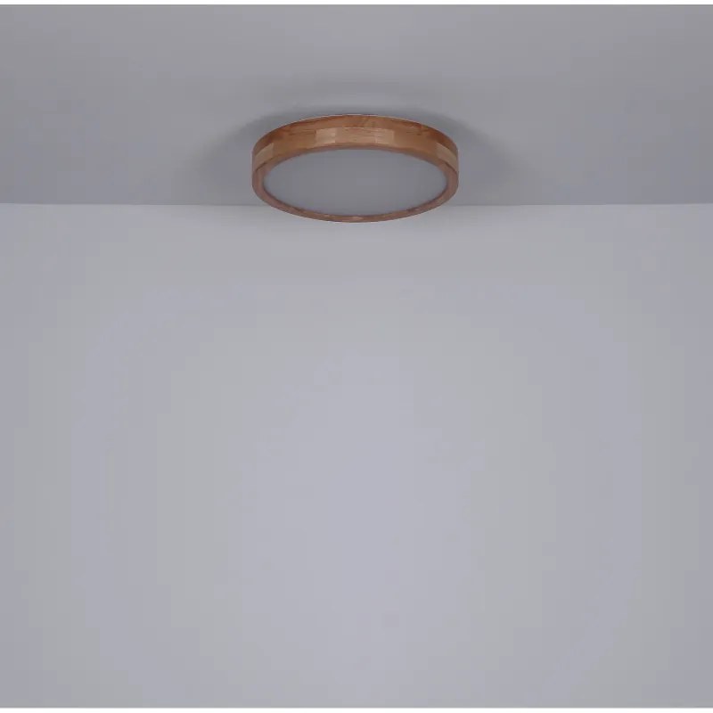 Plafoniera LED dimabila cu telecomanda design modern RAINER 41745-24 GL