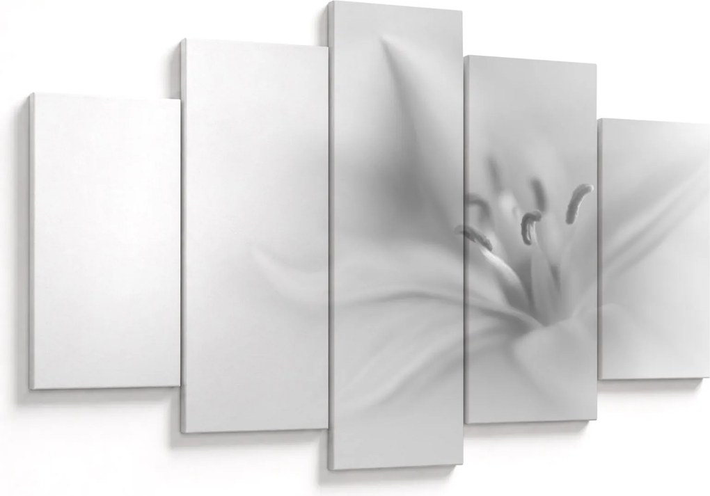 Tablou - Crin delicat (150x105 cm)