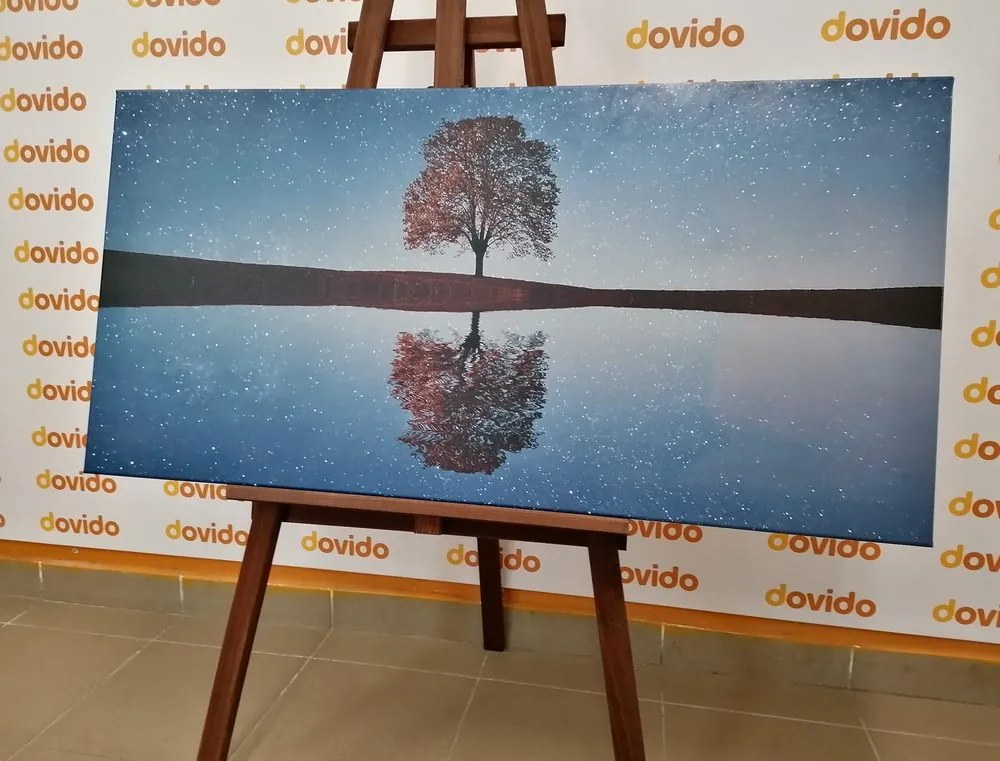 Tablou cer înstelat deasupra unui copac singuratic