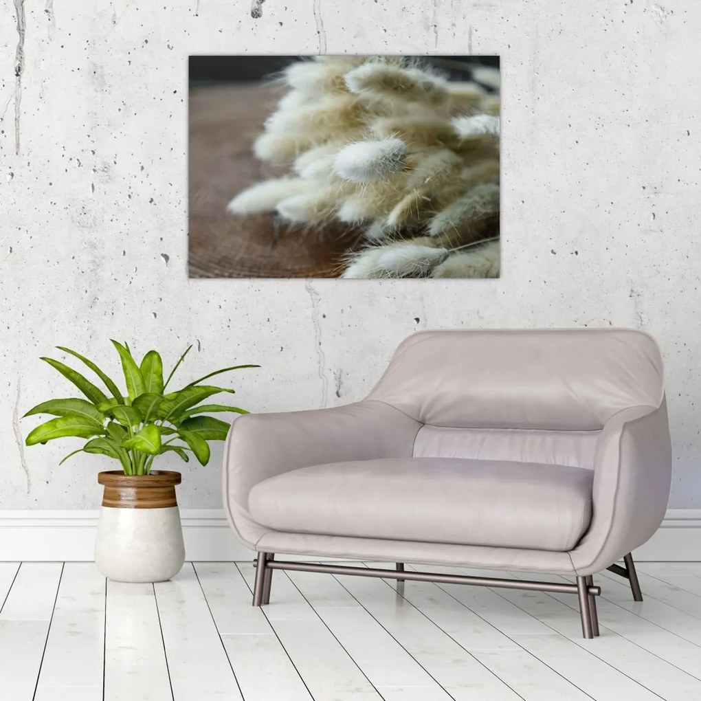 Tablou - Coadă de iepure (70x50 cm)