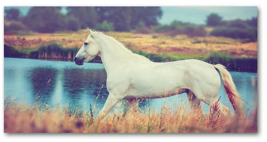 Pictura pe sticlă acrilică White lake horse