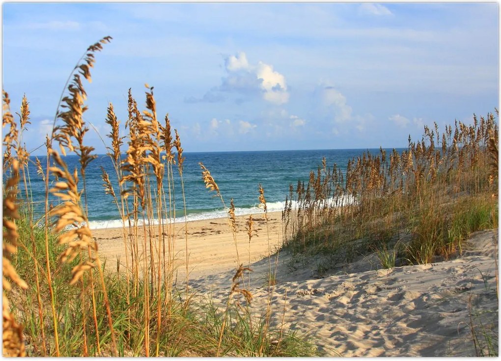 Tablou - Plajă (70x50 cm)