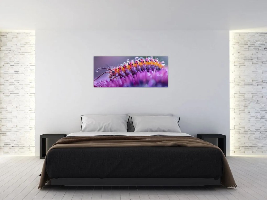 Tablou - Caterpillar (120x50 cm)
