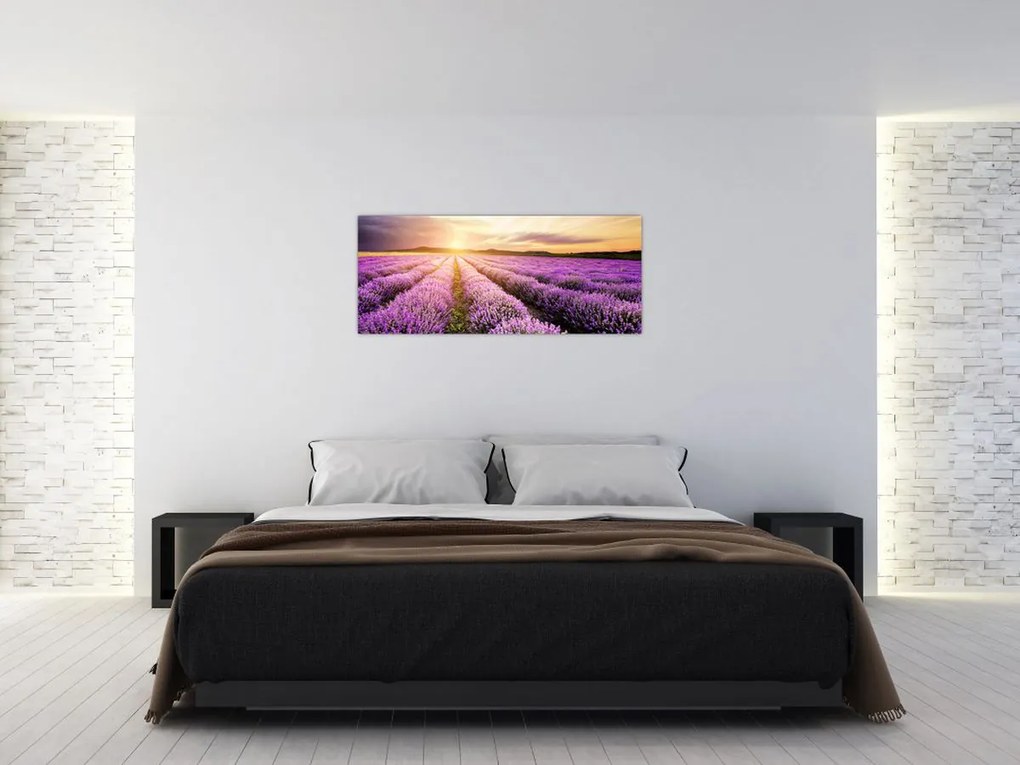 Tablou - Răsărit de soare în câmp de lavandă (120x50 cm)