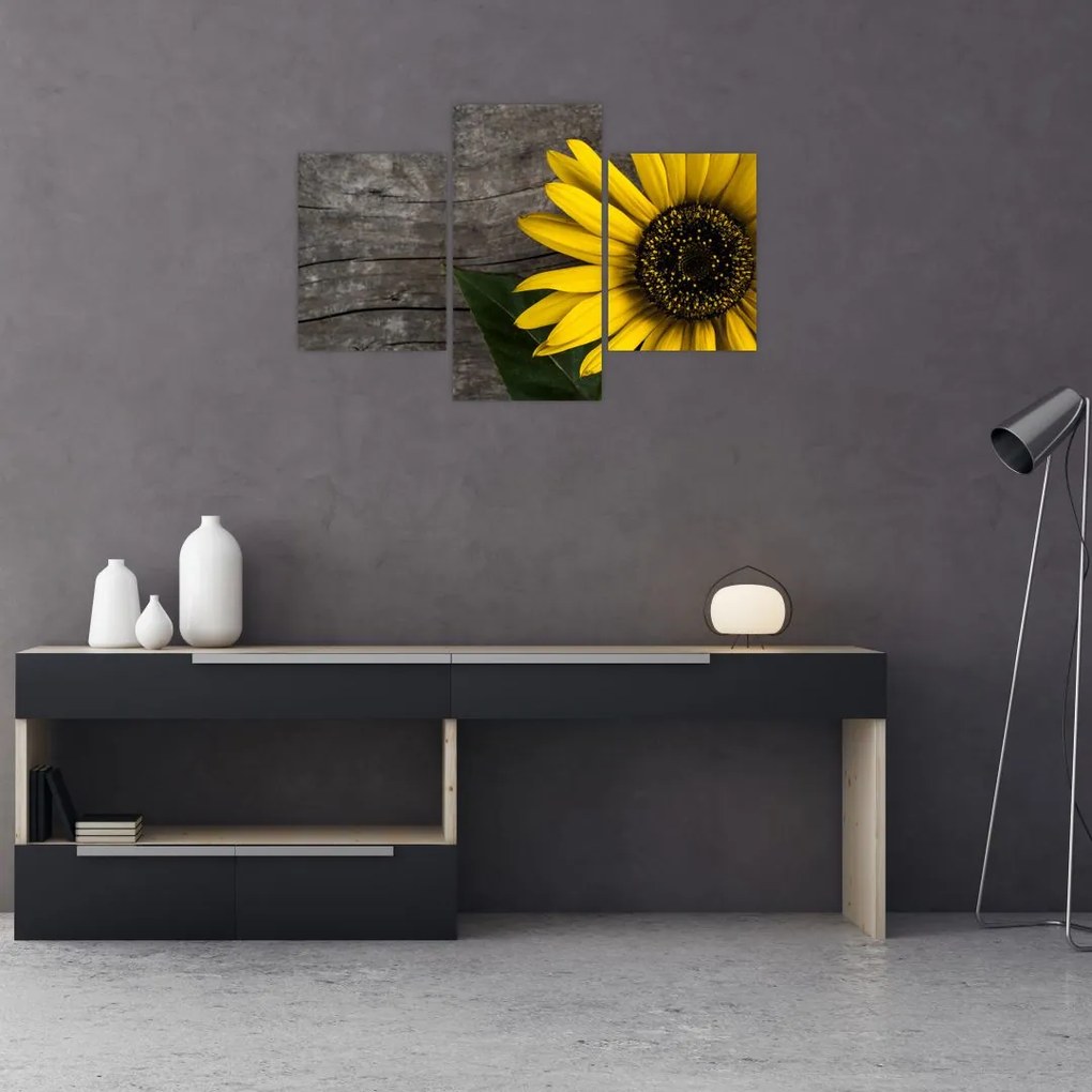 Tablou - Floare de floarea soarelui (90x60 cm)