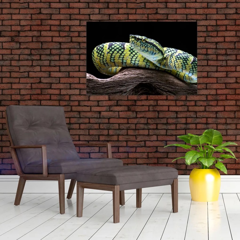 Tablou - Șarpele cu clopoței al lui Wagler (90x60 cm)