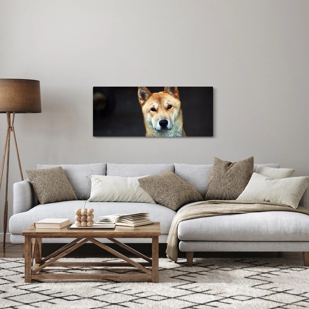 Tablou cu câine (120x50 cm)